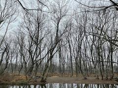 -西溪南古村落景区