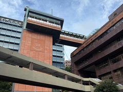 -香港大学