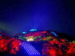-印象普陀