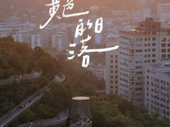 -福道