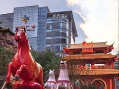 -越秀西湖花市(广州城市广场花卉店)