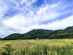 -大九湖
