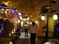 -淀里船宴(裕华东路店)