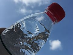 -延安杨家岭革命旧址