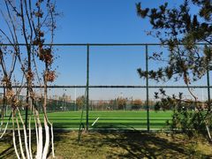 -瀛海足球主题公园