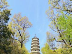 -灵谷景区