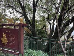 -杭州半山国家森林公园