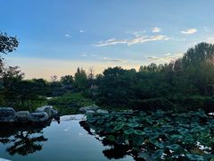 -静之湖度假区