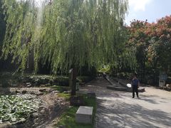 -苏州河梦清园环保主题公园