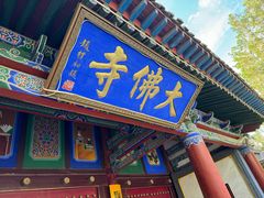 -张掖大佛寺景区