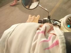 -大树秋千