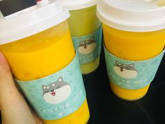 -野萃山·潮汕厚果汁(十亩地店)