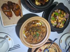 -鸽小宝(深圳首店)