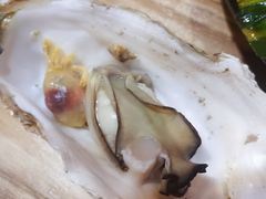 -爱蚝屋