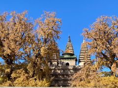 -北京石刻艺术博物馆(五塔寺)
