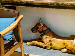 -漪龙台·B26 Rooftop Lounge