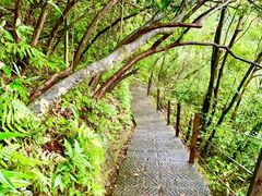 -白云源风景区