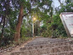 -水濂山森林公园