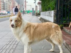 -豆舞咖啡(民乐路店)