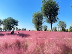 -汉长安城未央宫国家考古遗址公园