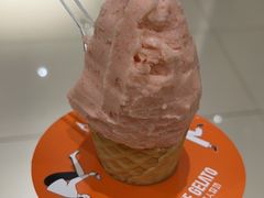 -野人先生现做冰淇淋(北京顺义祥云小镇店)