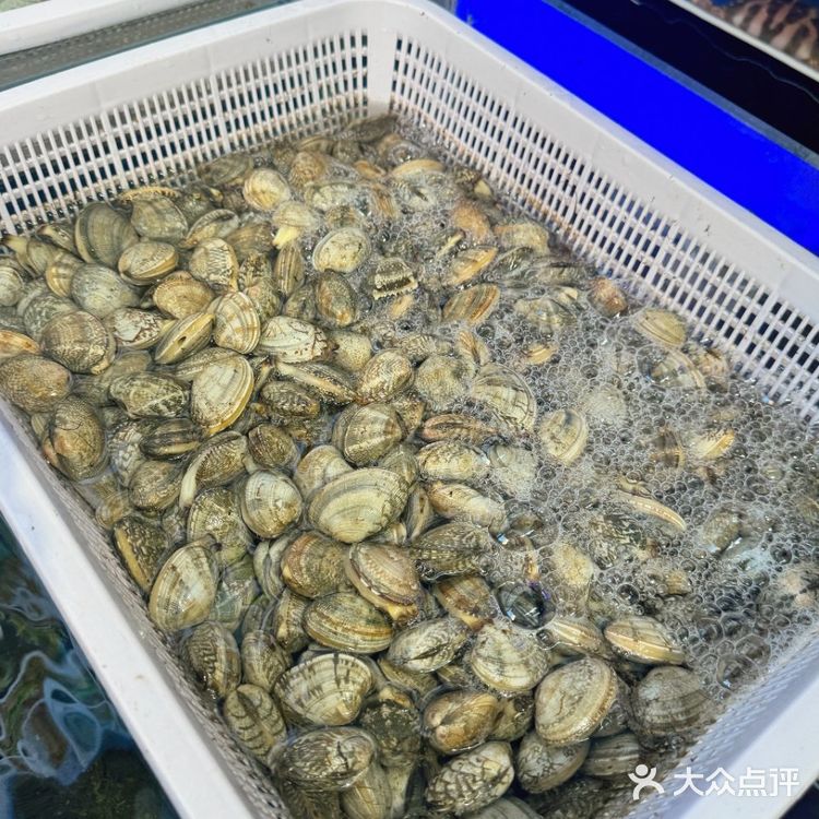 南澳岛｜这家海鲜大排档真的太好吃了！