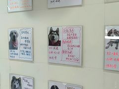-汪说·狗咖·拼豆·宠物周边DIY(旺城大厦店)