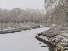 -大兴滨河森林公园