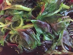 农场有机时蔬-庄隐阁(悠方广场店)