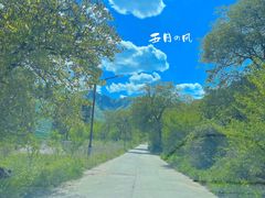 -黑河国家森林公园