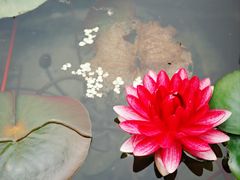 -钱王祠