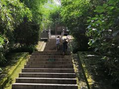-少华山国家森林公园