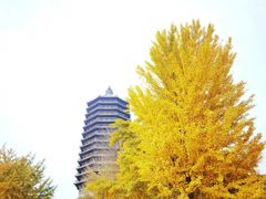 -玲珑塔公园