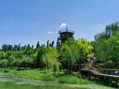 -东郊湿地公园