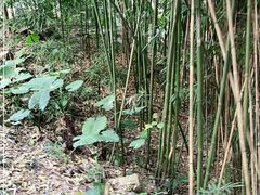 -福建鲤鱼洲酒店