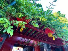 -护国寺小吃(护国寺总店)