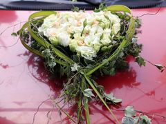 -FEI FEI FLOWER鲜花店·气球派对·宝宝宴布置(虹口德必运动Loft店)
