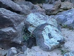 -南海湾森林生态园