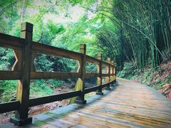 -凤栖山