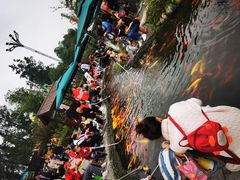 -成飞公园