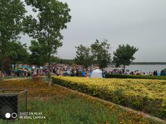 -武清南湖绿博园