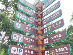-西双版纳原始森林公园