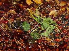 -味之绝热血美蛙鱼火锅(中坝店)