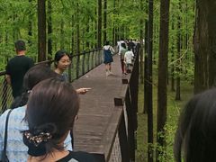 -黄海国家森林公园