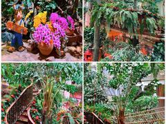 -正佳雨林生态植物园