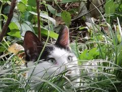 -杭州六谷生态休闲农庄有限公司