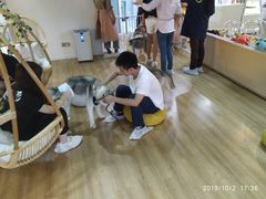 -Husky Go! 哈士奇体验馆·宠物咖啡厅狗咖