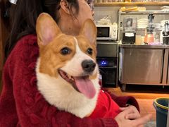 -新月集庭院咖啡馆(老邮局店)