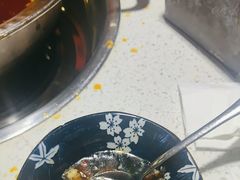-钢管厂五区小郡肝串串香(南山店)