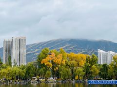 -西宁市人民公园(城西区)